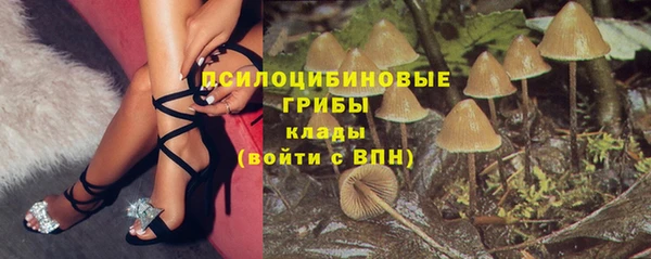 первитин Белокуриха