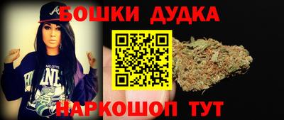индика Бийск
