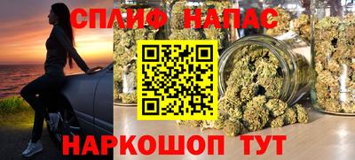 индика Бийск