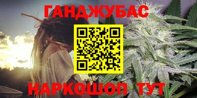 индика Бийск