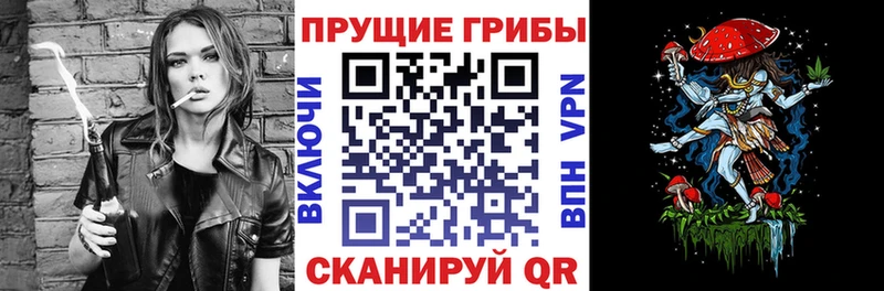 Галлюциногенные грибы Psilocybine cubensis  закладка  Вязники 