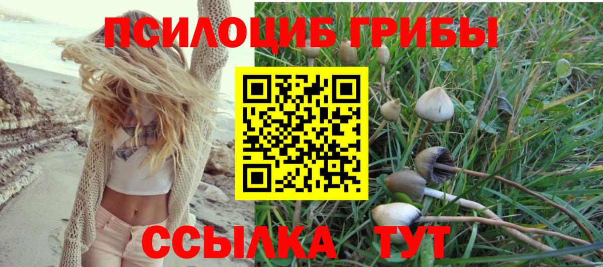 Псилоцибиновые грибы ЛСД Вязники