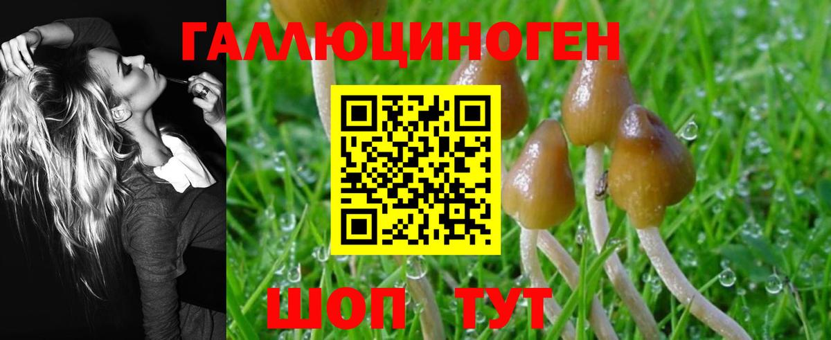Псилоцибиновые грибы MAGIC MUSHROOMS  Вход с VPN  хочу наркоту  Вязники 